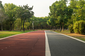 Fototapeta premium New pathway and beautiful trees track for running or walking and cycling relax in the park