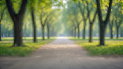Obraz premium Softly Blurred Green Tree Lined Pathway in Park with Gentle Nature Ambiance and Space for Text or Overlay Design Elements