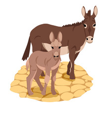 Flat illustration of cartoon Donkey with baby isolated on white background.