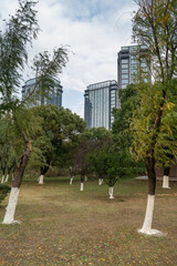 city park with modern building background in shanghai