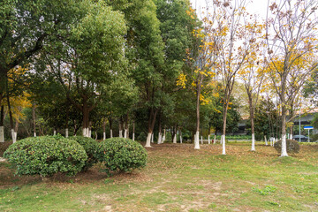 Beautiful panorama of green city park