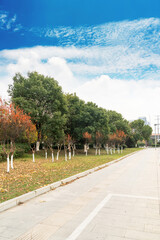 The road of City Park in China