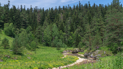 Picturesque banks of a mountain river in the valley