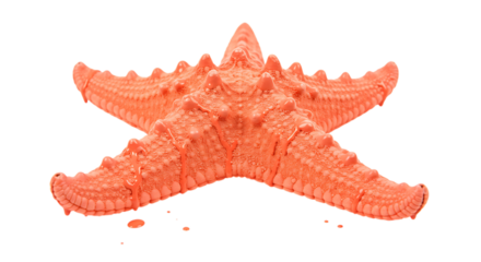 Orange Starfish on Black Background with Dripping Paint Effect