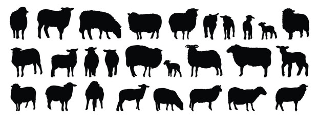 sheep silhouette set. sheep and lamb isolated farm animal silhouette icon vector collection