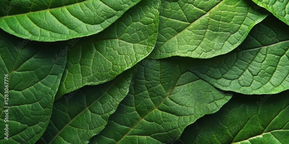Poster vibrant green leaf textures layered with intricate patterns against a dark backdrop showcasing natur