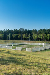 Fototapeta premium spring park and modern city