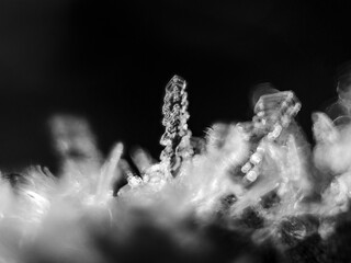 crystal on black background