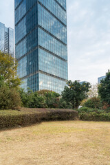 city park with modern building background in shanghai