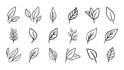 Hand drawn leaf eco set. Black line doodle leaf icons