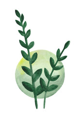 Emblem in eco style. Green watercolor plant on a background of watercolor stain.