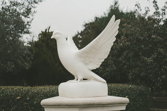 Sculpted Serenity: A pristine white dove statue stands with outstretched wings, radiating peace and tranquility amidst a manicured garden, captured in a serene outdoor setting.