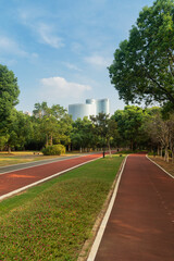 New pathway and beautiful trees track for running or walking and cycling relax in the park