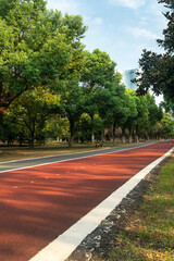 New pathway and beautiful trees track for running or walking and cycling relax in the park