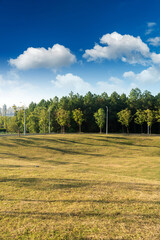 Obraz premium Beautiful panorama of green city park