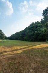 Beautiful panorama of green city park