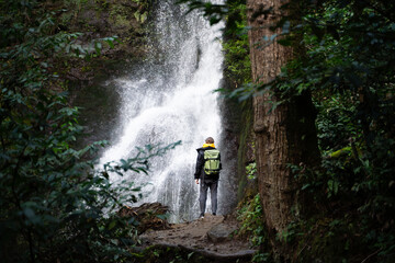 Obraz premium Man looking at the waterfall in the lush, green, and vibrant forest in the mountains. Landscape photography. A person admiring the beauty of powerful white river stream.