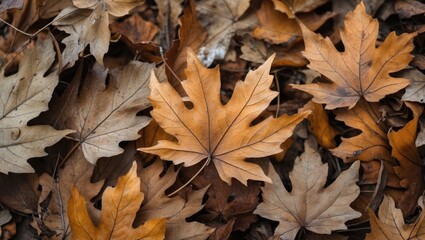 Autumn leaves background showcasing a variety of dry, textured foliage in warm earthy tones creating a serene natural atmosphere.