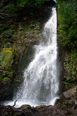 A natural view of a tropical waterfall in a forest landscape. River with white stream. Green vegetation national park. Green tropical forest. Vertical.