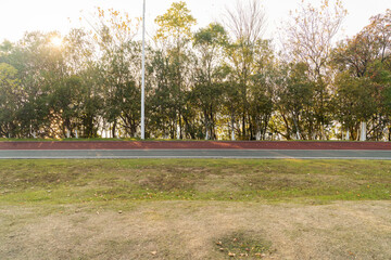 New pathway and beautiful trees track for running or walking and cycling relax in the park