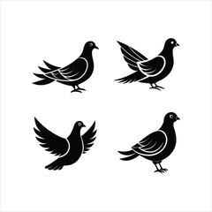 Obraz premium Get a premium pigeon silhouette vector bundle featuring detailed bird designs. Perfect for branding, decor, and creative projects. Available in multiple file formats.