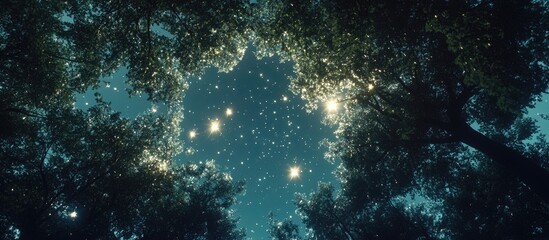 Obraz premium Starry night sky viewed through a dense forest canopy with vibrant green leaves surrounding bright twinkling stars and soft ethereal light.