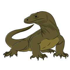 Komodo dragon illustration, vector icon of Komodo dragon isolated on white background.