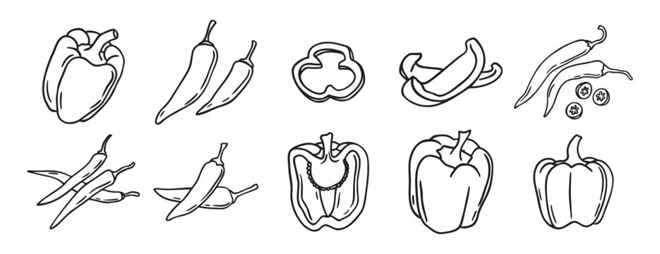red hot chili peppers and bell peppers doodle hand drawn icon set. Outline drawing red hot chili peppers and bell peppers line clipart symbol collection