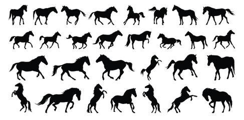 horse silhouette set. horse different poses isolated farm animal silhouette icon vector collection
