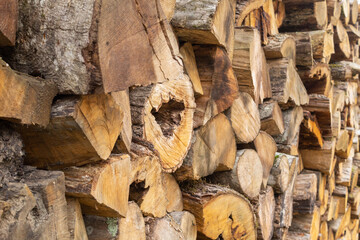 Lots of firewood as texture, background