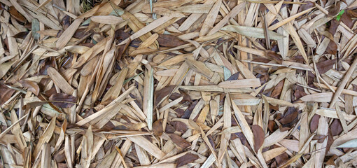 Full Frame Background Texture of Dry Bamboo Leaves