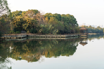 Obraz premium Lush greener around the pond in the park