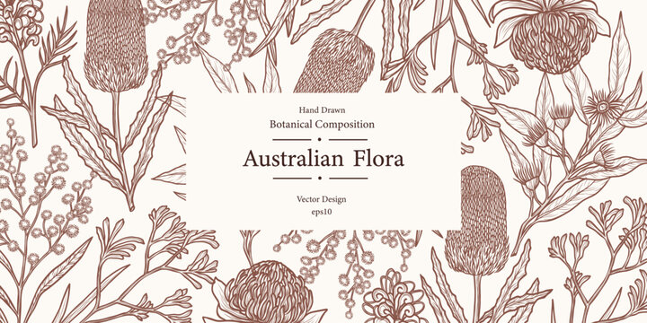 Hand drawn Australian flowers and plants card