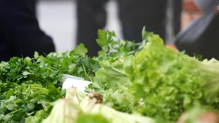 Fresh greens selection at local market in autumn