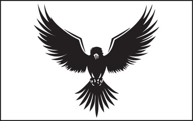 Obraz premium eagle with wings