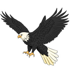 Eagle illustration, eagle vector icon isolated on white background.