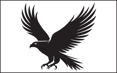 Obraz premium eagle in flight