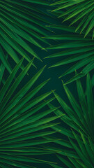 Green Palm Leaves in Tropical Jungle