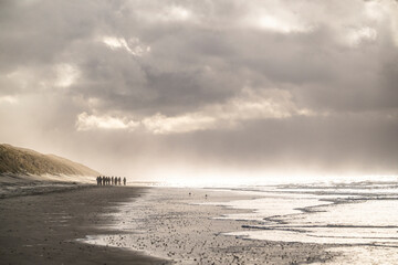 La plage et les dunes entre Quend-Plage et la Baie de Somme