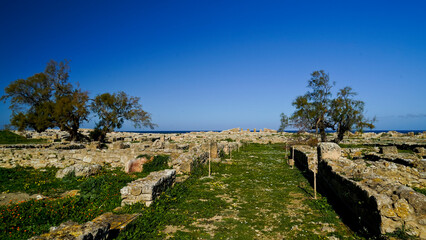 l'area archeologica dell'antica città Punica di Kerkouane nei pressi di Hammamet,costa...
