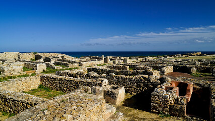l'area archeologica dell'antica città Punica di Kerkouane nei pressi di Hammamet,costa...