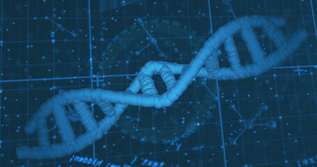 DNA strand and scientific data processing image over blue grid background