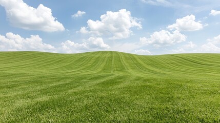 Obraz premium Rolling green hills under a clear sky. Possible use Nature background
