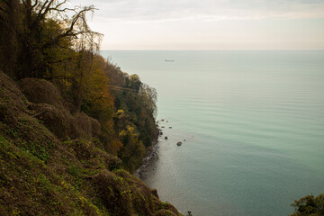 coastal scene showing a steep cliff covered in autumn foliage, a calm sea, and a ship on the horizon