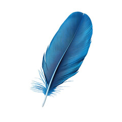 Vibrant blue feather with intricate details