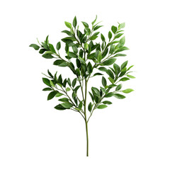 Fototapeta premium Lush green foliage branch with vibrant leaves