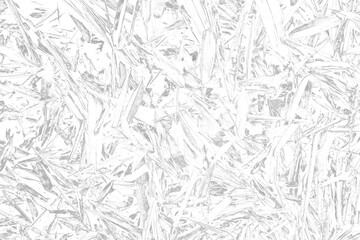 Black Grunge Bamboo Leaves Overlay on Transparent Background for Creative Textures and Visual Effects