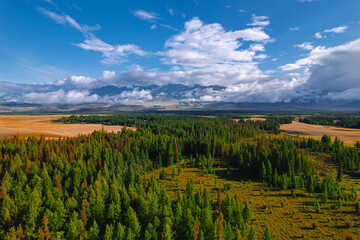 Majestic mountain landscape with verdant forest and open fields under blue sky