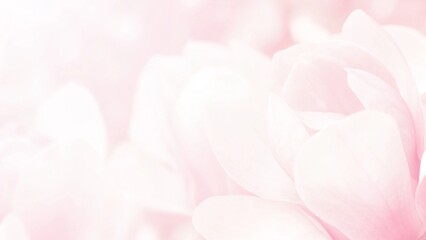 Obraz premium Banner for a website with a closeup view of pink eustoma flower. Soft pastel wedding background.