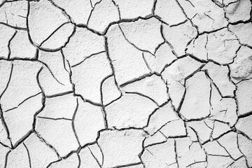 Cracked earth texture with detailed pattern of dried soil in monochrome